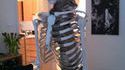 Un chat dans un thorax humain