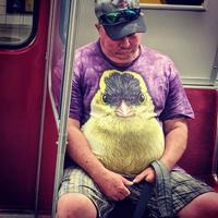 Il manque quelque chose sur ce T-shirt ?