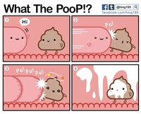 What the poop