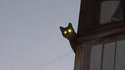 Le surveillant