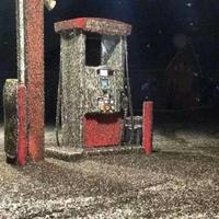 Invasion de mouches dans le Wisconsin