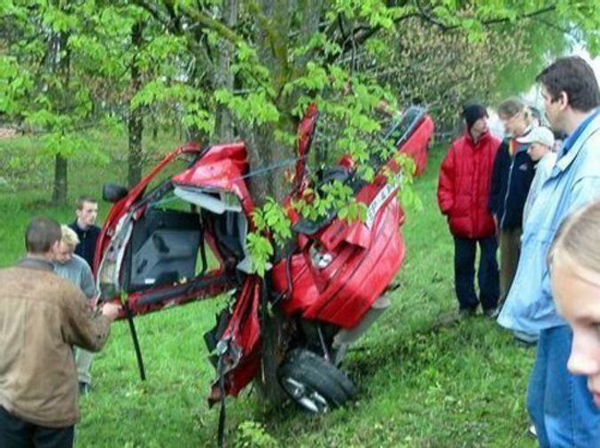 Un arbre très solide