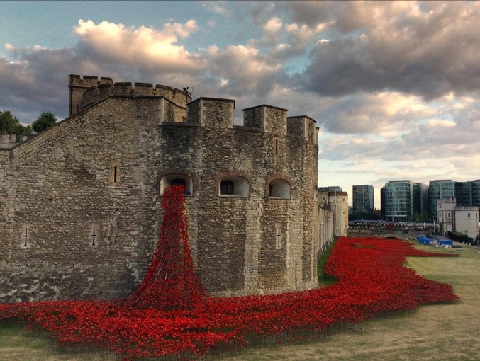 ... s'écoule de la Tour de Londres en commémoration du centenaire de la Première Guerre Mondiale.  
Il s'agit en fait de 888 246 coquelicots en céramique disposés pour donner cet effet impressionnant. Il y a un coquelicot pour chaque soldat de l'empire britannique tombé. 