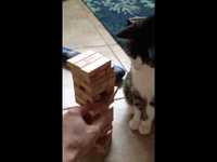 Jenga Chat