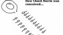 Conception de Chuck