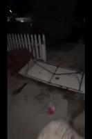 Girls just wanna have fun 