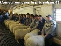 L'amour est dans le pré