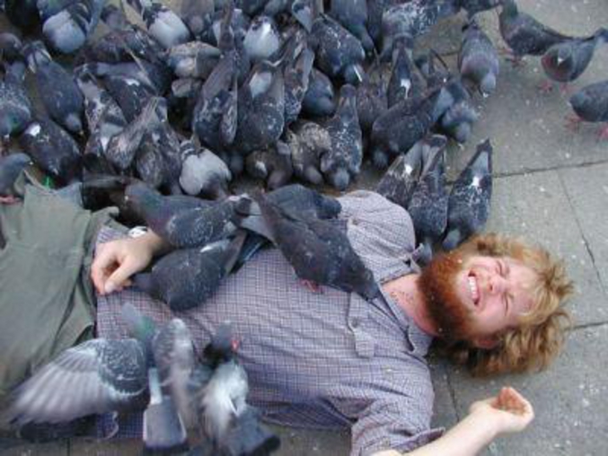 une foule de pigeons sur un homme
