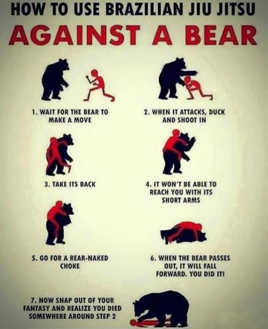 1: attendre que l’ours bouge 
2: quand il attaque se baisser et frapper
3: attrapez le par derrière 
4: il ne pourra pas vous atteindre avec ses bras trop court
5: maintenant étranglez le par derrière 
6: quand l’ours va défaillir il tombera vers l’avant . VOUS L’AVEZ FAIT!
7: maintenant sortez de votre délire et réalisez que vous êtes mort aux alentours de l’étape 2.