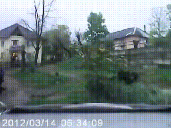 La chasse au sangler en Russie