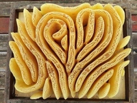 Miel en rayon