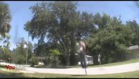 Pogo stick