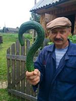 Kan ta récolte t'interroge !