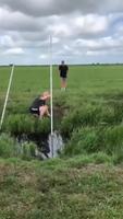 Saut à la perche