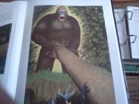 Un singe en colère