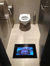 Les toilettes parfaites ?