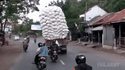 Encore une victoire de la gravité