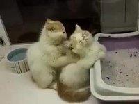 Petite séance de massage