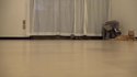 Des chats et des bouboules