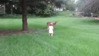 Un enfant et Bambi