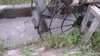 Arrosage automatique