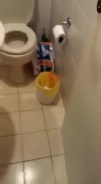 Qui a mâché la poubelle ??