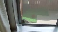 Il..il.. il sait ouvrir les portes