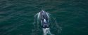 Bateau + eau en 3D