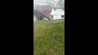 Chien.exe a cessé de fonctionner