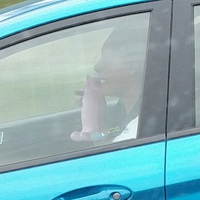 Chanter dans son godemichet sur l'autoroute