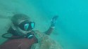 Copain des fonds marins