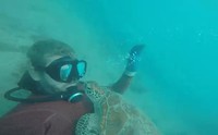 Copain des fonds marins