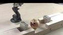 Une pomme vs 2 super aimants