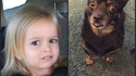 Un air de ressemblance
