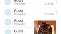 Le chat et la balance connectée