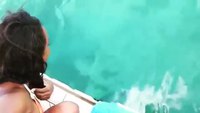 Un dauphin ramène un téléphone tombé dans l'eau