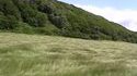 Des bourrasques