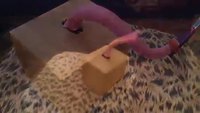 Une boite avec une tentacule qui agite un couteau