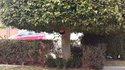 Mon pote le jardinier a de l'humour