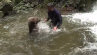 Il fait un gros câlin à un ours