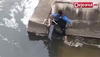 Un chiot content d'avoir été sauvé