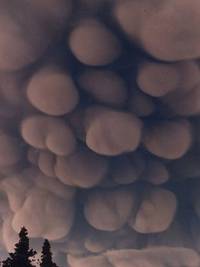 Que voyez vous dans les nuages ?