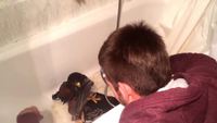 C'est l'heure du bain