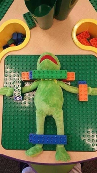 Pauvre Kermit