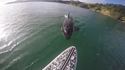 Rencontre lors d'une balade en paddle