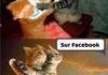 Sur les réseaux vs la vie