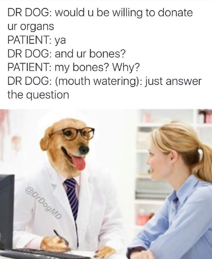Dr Dog :Seriez-vous prête à donner vos organes ?
Patiente : oui
Dr Dog: et vos os ?
Patiente : mes os ? pourquoi ?
Dr Dog (l'eau à la bouche) : répondez juste à la question