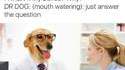 Dr Dog