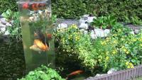 Une tour d'observation pour les poissons