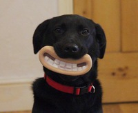 hé